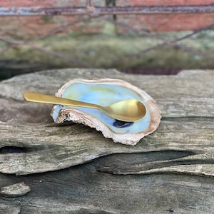 May include: A gold spoon rests inside a ceramic oyster shell dish. The shell is a light blue and white color with a dark gray interior. The dish is sitting on a piece of weathered driftwood.