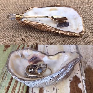 FREE SHIPPING Oyster Shell Coffee Spoon Rest with or W/o | Etsy