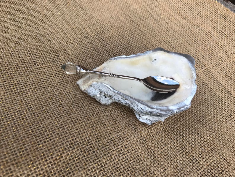 FREE SHIPPING Oyster shell Coffee spoon rest with or w/o coffee spoon image 9