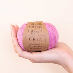 May include: A ball of pink worsted weight yarn labeled "Originally Lovely CriA" with the details: 50 g | 100 m | 109 yd, 100% Baby Alpaca, and needle size recommendations.