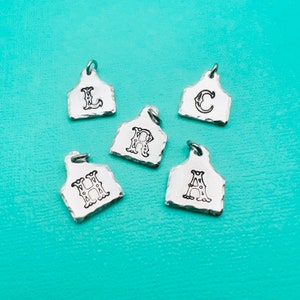 Brinco de vaca com pingente inicial | inicial prateada | pingente personalizado adicional | joias boho cowgirl | pingente personalizado | joias antimanchas