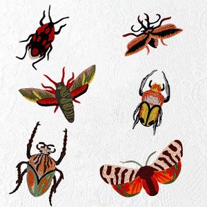 May include: Six embroidered iron-on patches featuring various insects, including a ladybug, a moth, a butterfly, and three beetles. The patches are in shades of red, orange, yellow, green, and brown.