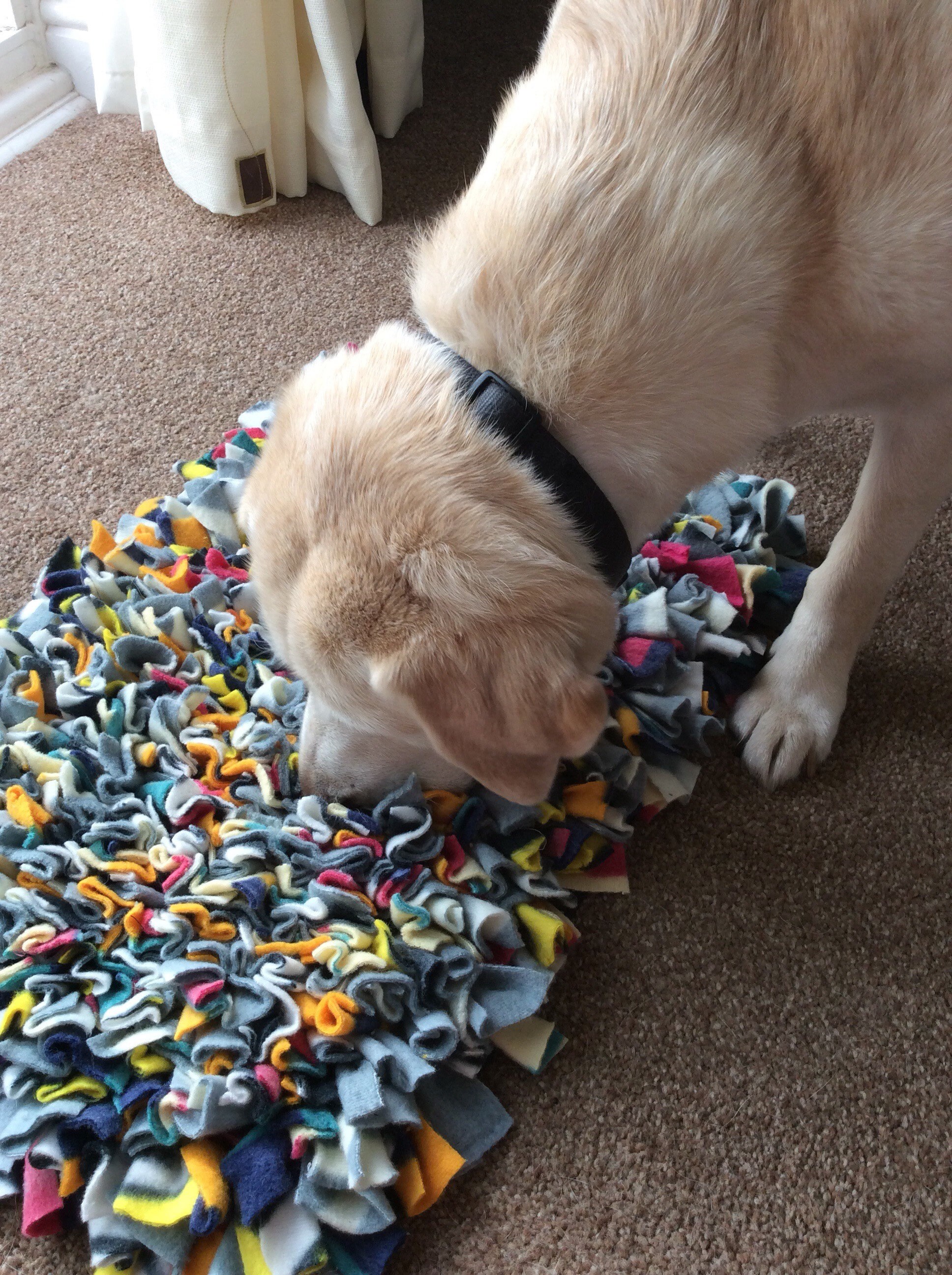 Dog snuffle mat dog treat mat boredom buster toy mental Etsy
