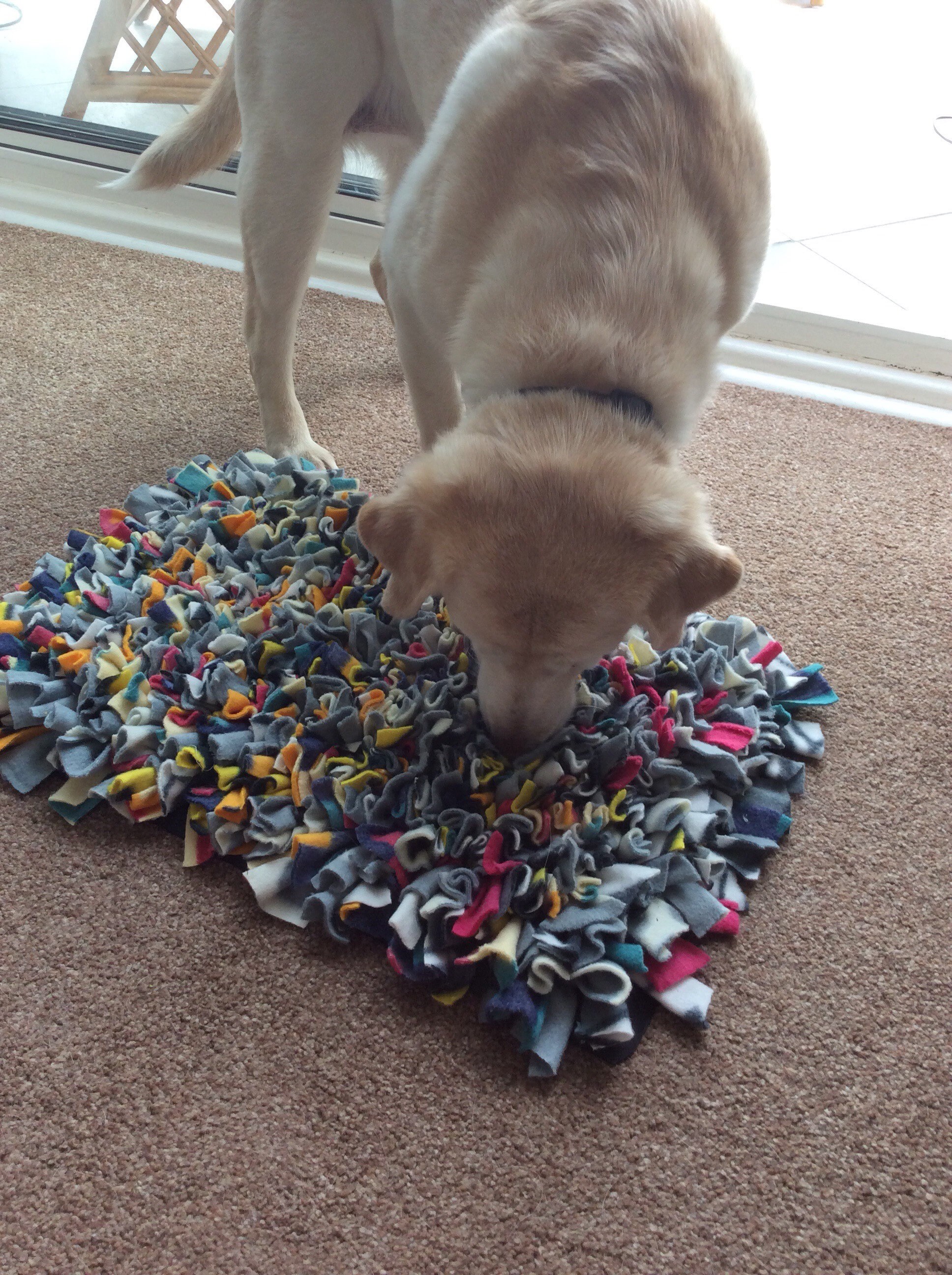 Dog snuffle mat dog treat mat boredom buster toy mental Etsy