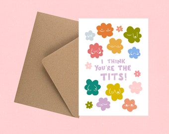 A6 recycled eco greetings card with envelope / I think you’re the tits! / I love you card / Anniversary card / friendship card