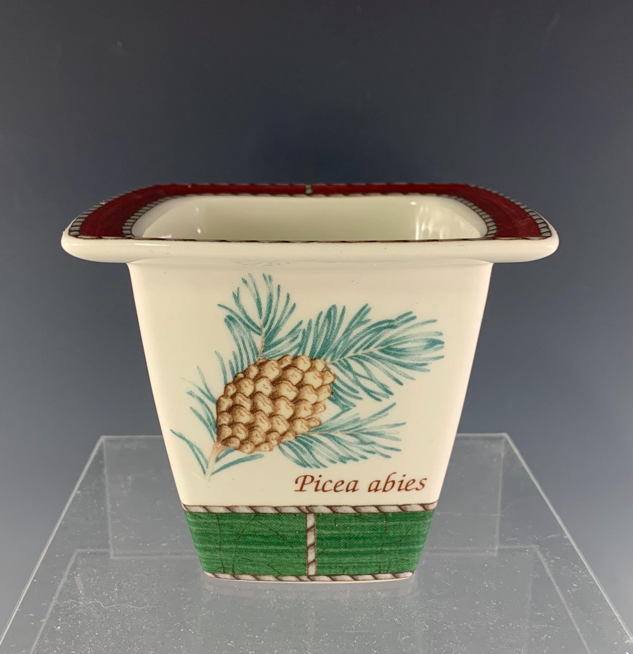 Wedgwood Sarah's Garden - Etsy