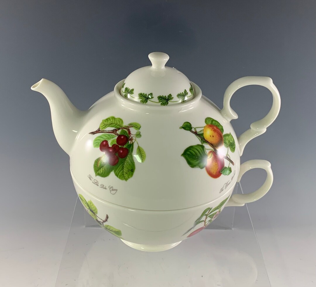 Portmeirion Pomona Individual Teapot With Lid and Cup Etsy