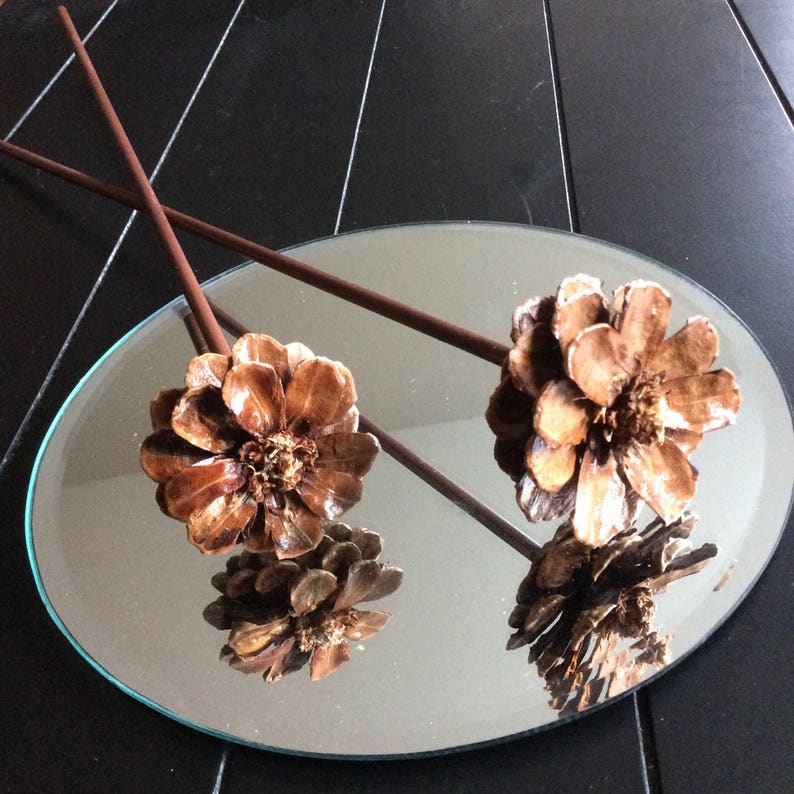 12 Hand Made Pinecone Flowers with Stems Etsy