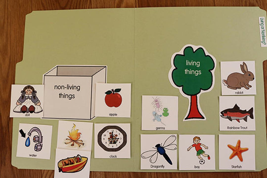Living or Nonliving - Printable File Folder Game PDF Download - Science ...