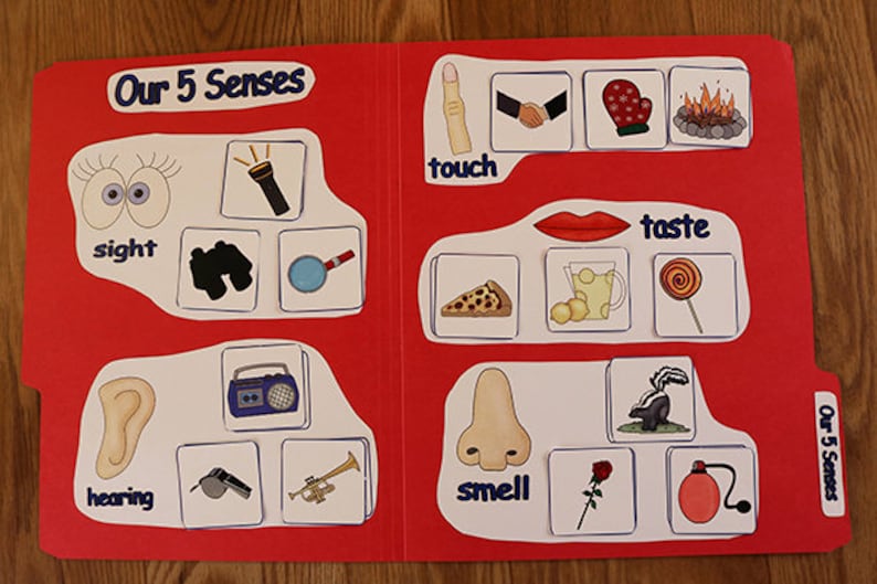 May include: A red folder with the title "Our 5 Senses" on the front. The folder is divided into five sections, each representing a different sense: sight, touch, smell, taste, and hearing. Each section has a picture and a word representing the sense.
