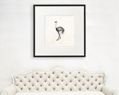 Ostrich Wall Art, Large Ostrich Wall Art, Scientist Gift, Science Lover Gift, Ornithologist Gift, Science Illustration, Ostrich Image, 1091