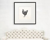 Chicken Wall Art, Large Chicken Wall Art, Gift For Scientist, Science Lover Gift, Ornithologist Gift, Science Illustration, Hen Image, 1084