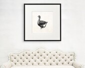 Loons Wall Art Gift, Large Bird Wall Art, Gift For Scientist, Loons Lover Gift, Ornithologist Gift, Science Illustration, Loons Image, 1083