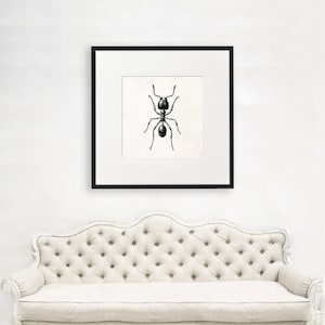 Arte de parede de formiga, arte de parede de inseto grande formiga, presente de cientista, presente de amante de ciência, geek de ciência, presente para entomologista, modelo científico, 1010