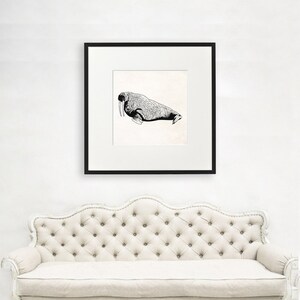 Walrus Wall Art, Large Walrus Wall Art, Scientist Gift, Walrus Lover Gift, Science Geek, Marine Biologist Gift, Science Illustration, 1042