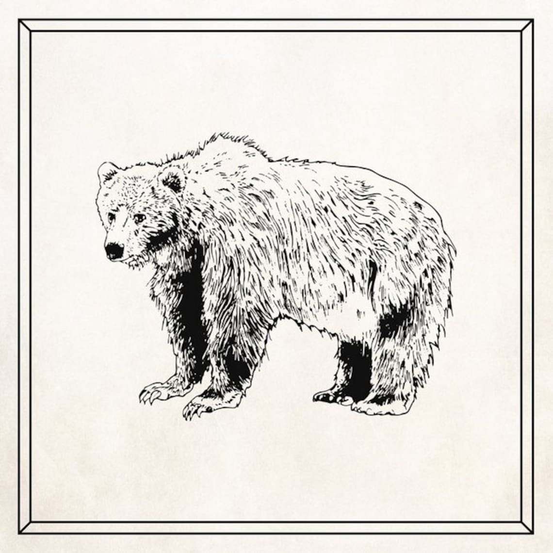 Bear Wall Art Gift Large Bear Wall Art Gift for Scientist Etsy