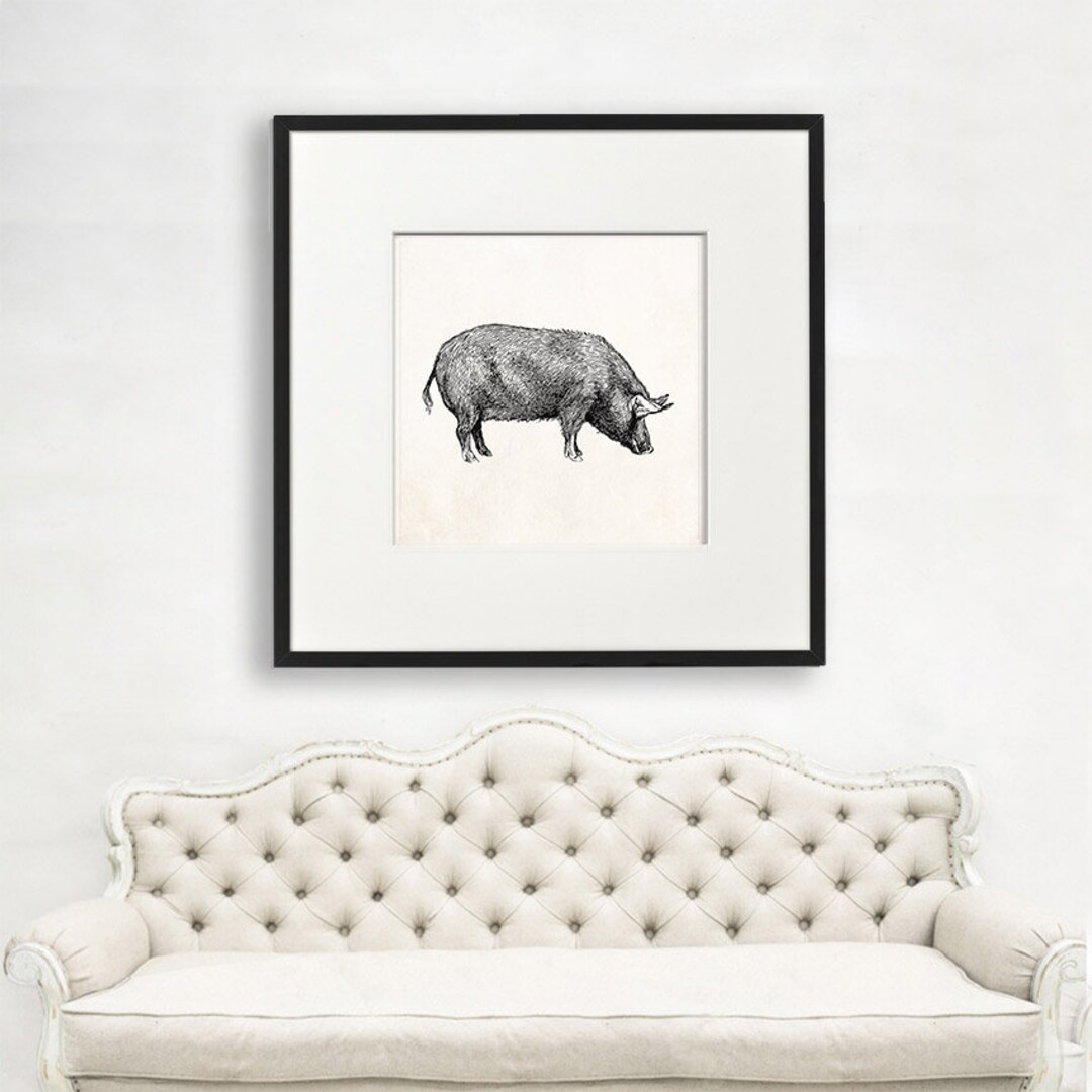 Pig Wall Art, Large Animal Wall Art, Gift for Scientist, Science Lover