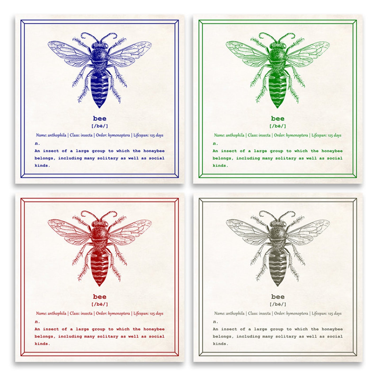 Ant Wall Art, Dictionary Print, an Ant Definition, Scientist Gift