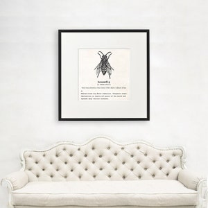 Housefly Art, Dictionary Print, Housefly Definition, Scientist Gift, Insect Lover Gift, Science Geek, Entomologist Gift, Insect Art, 1005