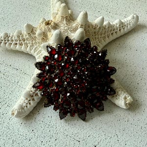 Victorian Bohemian Garnet Domed Brooch