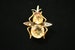 Victorian English 18K Citrine and Pearls Insect Brooch 