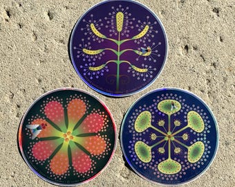 Sundew (Drosera) Holographic Sticker Set