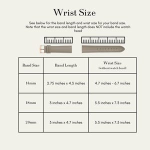 Puede incluir: Un gr&aacute;fico beige titulado "Wrist Size" con medidas de correa y mu&ntilde;eca. El gr&aacute;fico incluye tama&ntilde;os de correa de 14 mm, 18 mm y 20 mm, con las longitudes de correa y tama&ntilde;os de mu&ntilde;eca correspondientes en pulgadas. Incluye un diagrama de una correa de reloj.