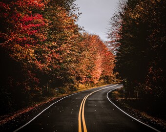 Fall Driving in Western New York