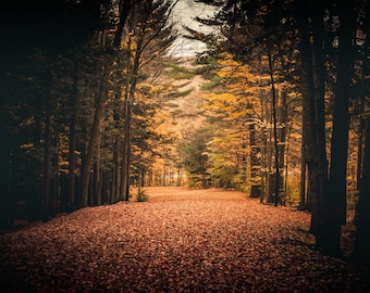 Emery Park in Western New York