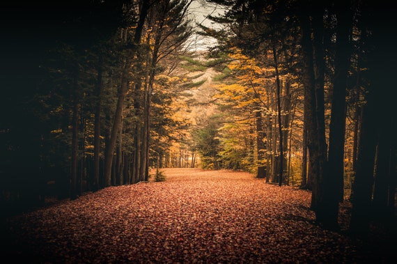 Emery Park in Western New York