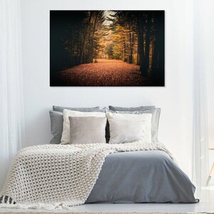 May include: A photograph of a path through a forest in autumn. The trees are bare and the leaves are a mix of orange, yellow, and brown. The path is covered in fallen leaves.