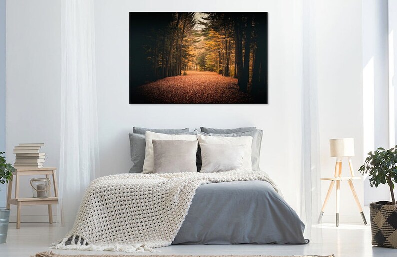 May include: A photograph of a path through a forest in autumn. The trees are bare and the leaves are a mix of orange, yellow, and brown. The path is covered in fallen leaves.