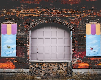Urban Decay in the Buffalo Old First Ward