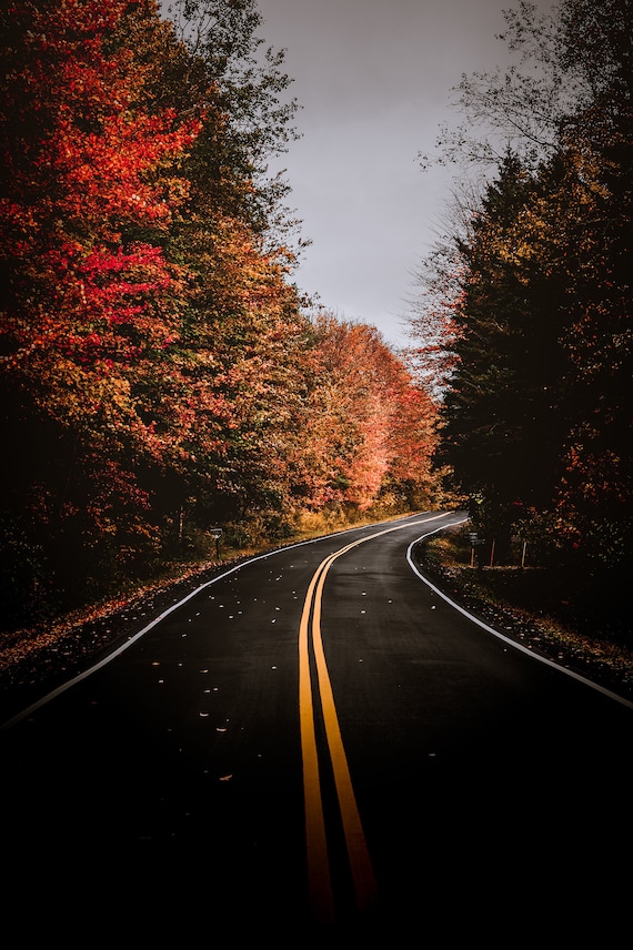 Fall Driving in Western New York