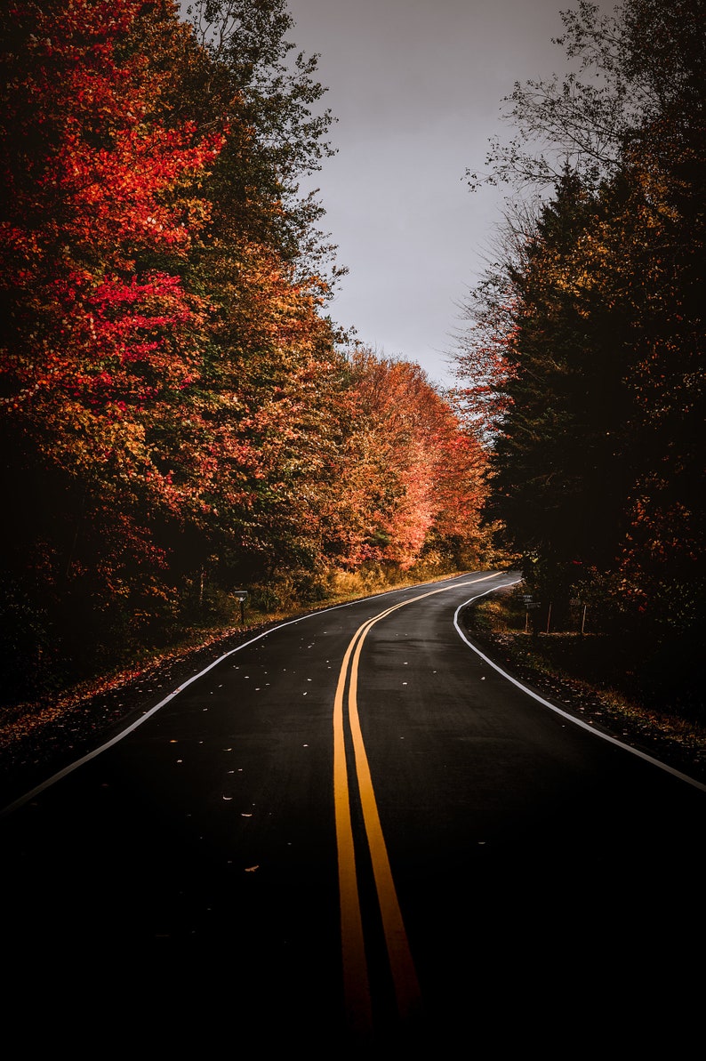 May include: A winding road with yellow lines down the center, surrounded by trees with vibrant red and orange autumn leaves.
