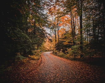 Western New York Foliage