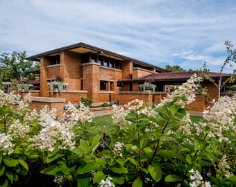 Frank Lloyd Wright's Darwin Martin House