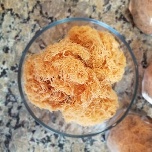 Wildcrafted Gold Sea Moss from St Lucia - 4oz, 8oz, 1lb Dried Seamoss - Organic Sea Moss - Natural Sea Moss