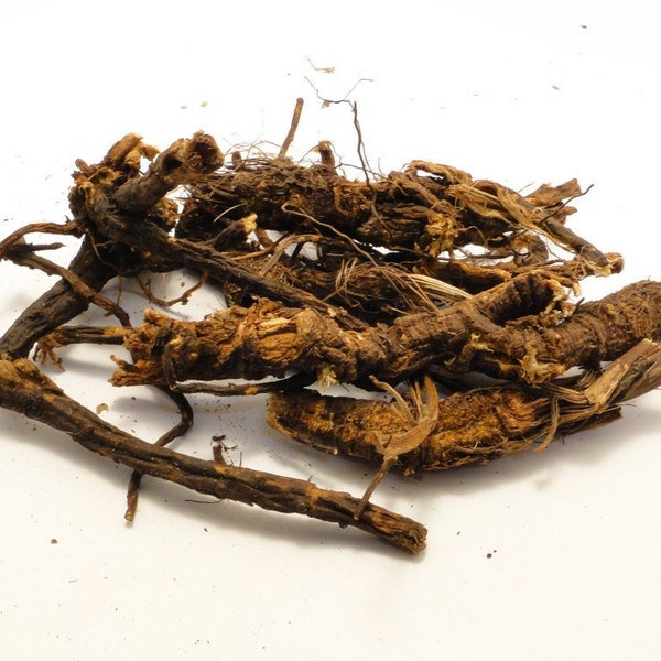 Osha Root (Ligusticum porteri) - Wildcrafted