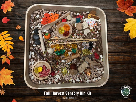Fall Harvest play doh Kit, Montessori sensory play