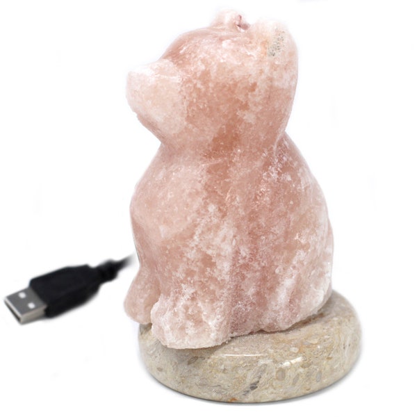 Himalayan Salt Lamp Dog Etsy