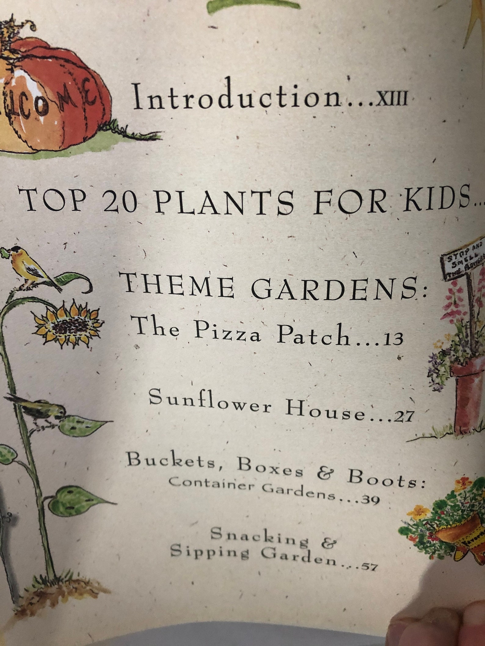 Roots, Shoots, Buckets & Boots by Sharon Lovejoy, Gardening With