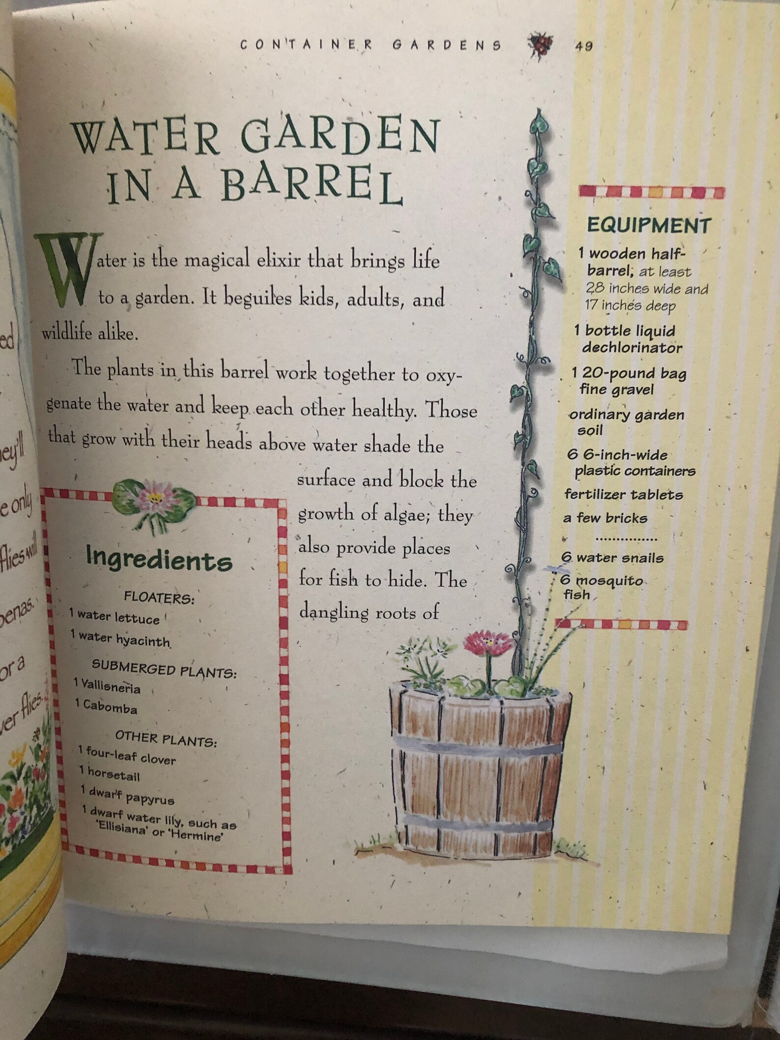 Roots, Shoots, Buckets & Boots by Sharon Lovejoy, Gardening With