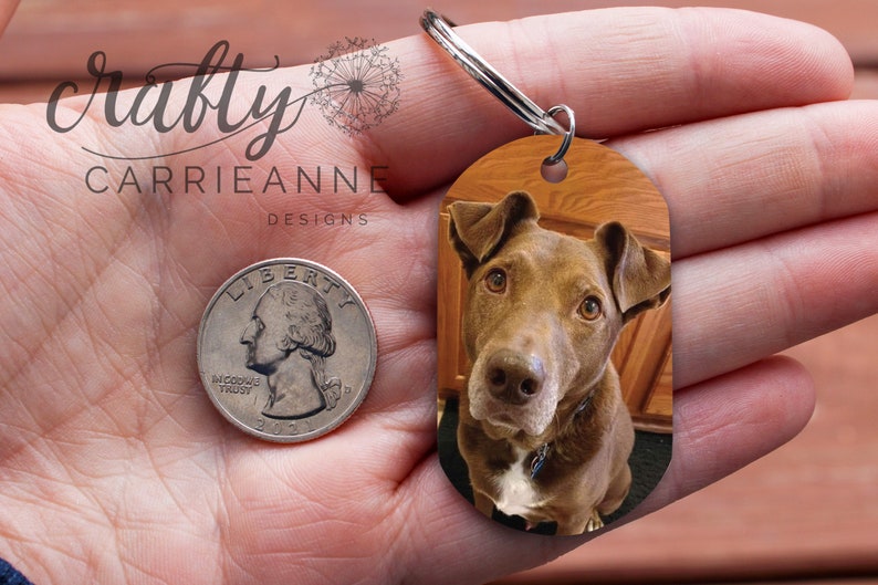 May include: A brown and white dog with a black collar is featured on a brown oval-shaped keyring. The keyring is attached to a silver key ring. A quarter is shown for size comparison.