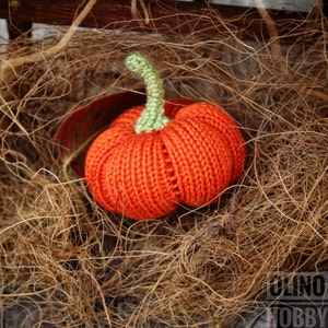 PUMPKINS SET of Crochet&Knitted Patterns 5-in-1 image 3