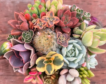 Tasse à thé rose et blanche en forme de fleur succulente et soucoupe feuille