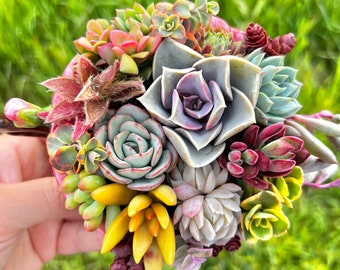 Pink & White Flower Shaped Succulent Teacup and Leaf Saucer