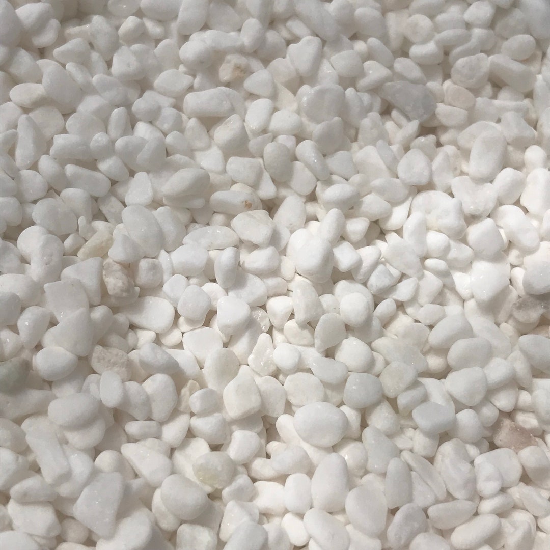 1lb White Top Dressing for Plants / Succulents Etsy