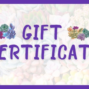 E- Gift Certificate for Queenofsucculents Shop