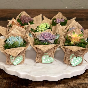 2 Succulent Party Favor Gift Burlap Rustic image 7